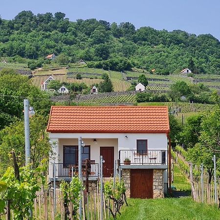 Jera Pince és Vendégház Somlovasarhely Esterno foto