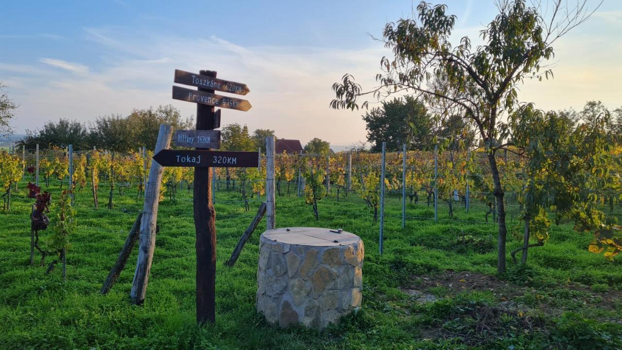 Jera Pince és Vendégház Somlovasarhely Esterno foto