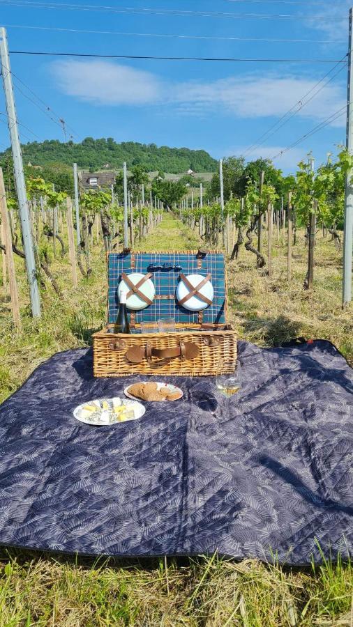 Jera Pince és Vendégház Somlovasarhely Esterno foto