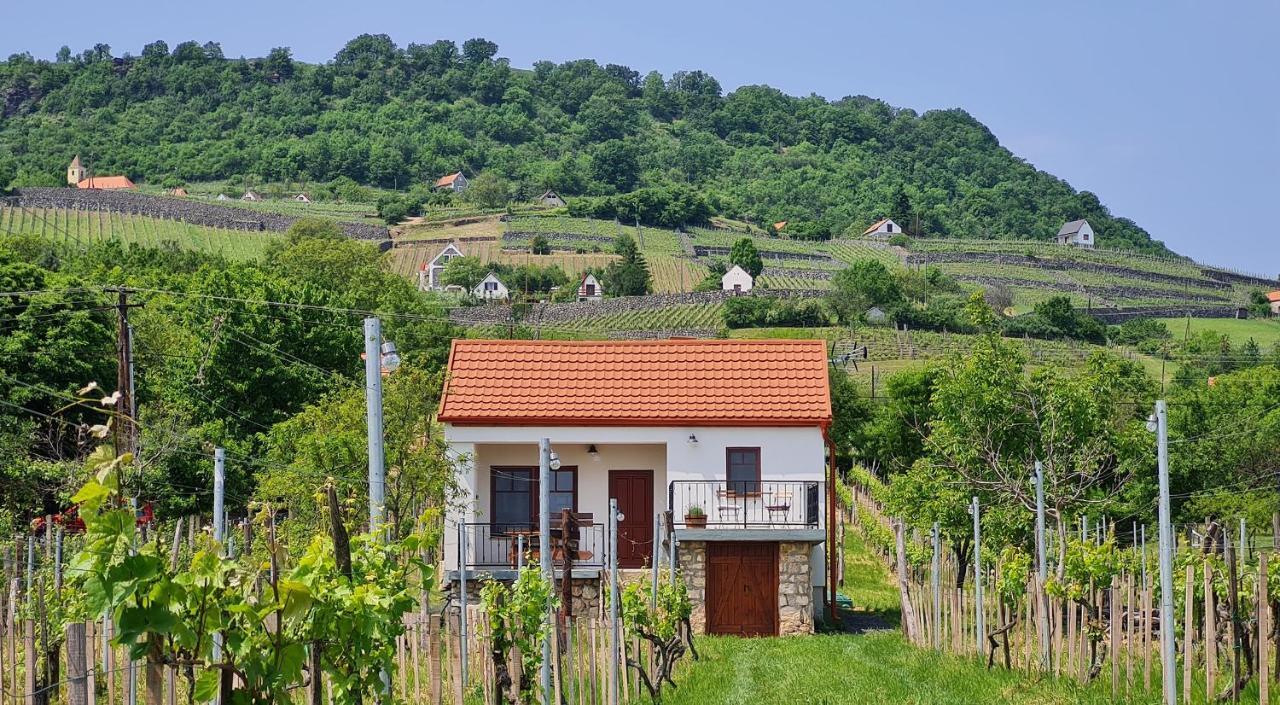Jera Pince és Vendégház Somlovasarhely Esterno foto